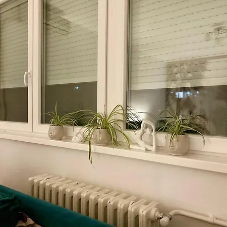 Surya Apartment Belgrade